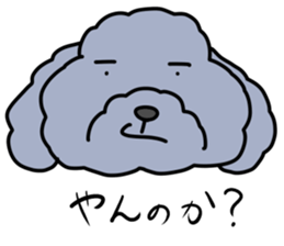 toy poodle moco sticker #11318105