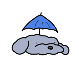 toy poodle moco sticker #11318122