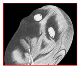 The emergence ofMonstersofrumor sticker #11318597