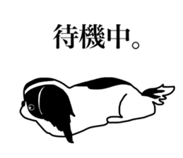 I love Japanese Chin sticker #11320481