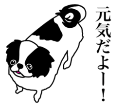 I love Japanese Chin sticker #11320487