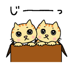My cats , hinatiro (2) sticker #11320935