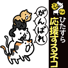 Cats to various support