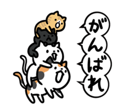 Cats to various support sticker #11321041