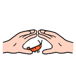 I'll not give shrimp sticker #11321697