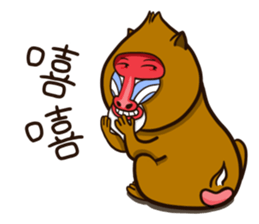 funny baboon sticker #11322866