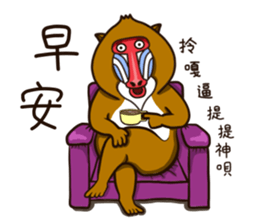 funny baboon sticker #11322876
