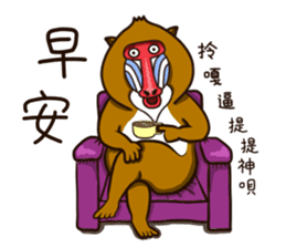 funny baboon sticker #11322876