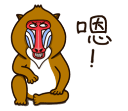 funny baboon sticker #11322883