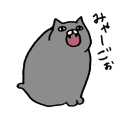 not smiling cat sticker #11322897