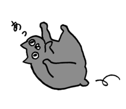 not smiling cat sticker #11322902