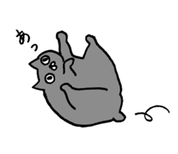 not smiling cat sticker #11322902