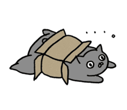 not smiling cat sticker #11322905