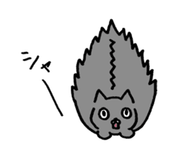 not smiling cat sticker #11322916