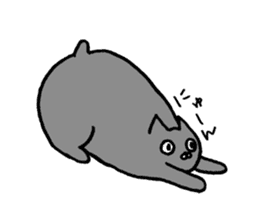 not smiling cat sticker #11322917