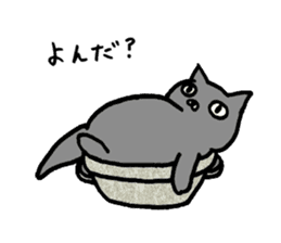 not smiling cat sticker #11322918