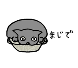 not smiling cat sticker #11322919