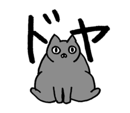 not smiling cat sticker #11322922