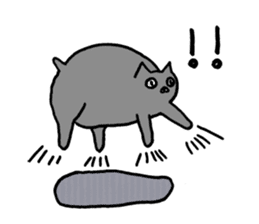 not smiling cat sticker #11322923