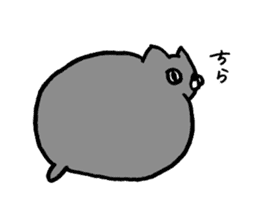 not smiling cat sticker #11322925