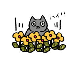 not smiling cat sticker #11322928