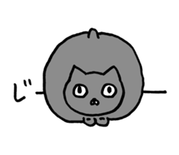 not smiling cat sticker #11322932