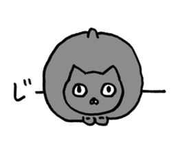 not smiling cat sticker #11322932