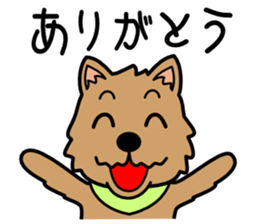 Norwich Terrier sticker #11322976