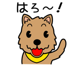 Norwich Terrier sticker #11322977