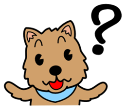 Norwich Terrier sticker #11322978