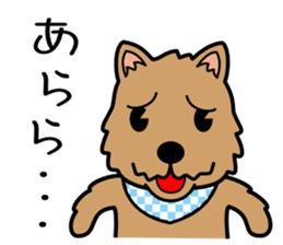 Norwich Terrier sticker #11322980