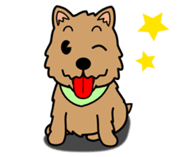 Norwich Terrier sticker #11322981