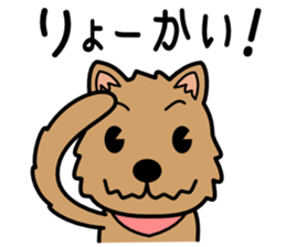 Norwich Terrier sticker #11322984