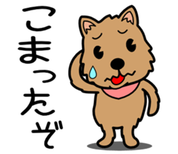 Norwich Terrier sticker #11322986