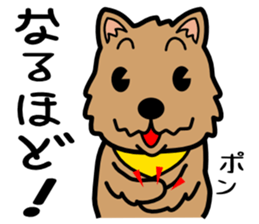 Norwich Terrier sticker #11322987