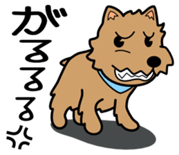Norwich Terrier sticker #11322991