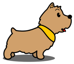 Norwich Terrier sticker #11322993