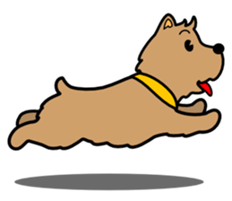 Norwich Terrier sticker #11322994