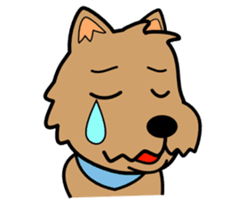 Norwich Terrier sticker #11322995