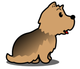 Norwich Terrier sticker #11322997