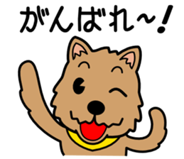 Norwich Terrier sticker #11322998