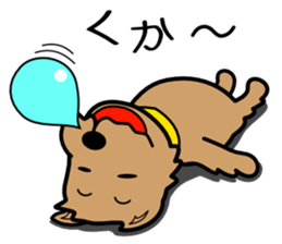 Norwich Terrier sticker #11323003