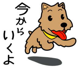 Norwich Terrier sticker #11323005