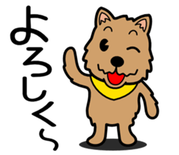 Norwich Terrier sticker #11323006