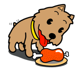Norwich Terrier sticker #11323008
