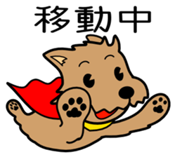 Norwich Terrier sticker #11323009