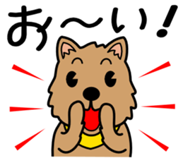 Norwich Terrier sticker #11323011