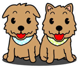 Norwich Terrier sticker #11323012