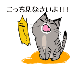 Brown Tabby Cat "Choco" with Fun Buddies sticker #11325611