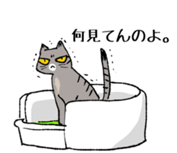 Brown Tabby Cat "Choco" with Fun Buddies sticker #11325615